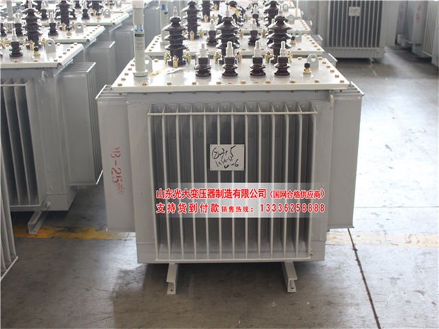 武昌S11-400KVA/10KV/0.4KV油浸式变压器