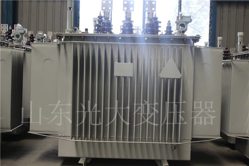 武昌S20-1000KVA油浸式变压器